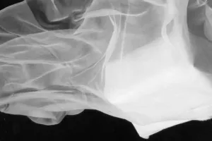 White silk chiffon fabric 44 inch wide~flat finish